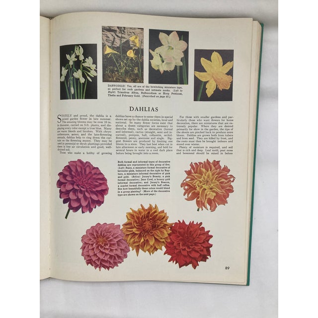 The Complete Guide to Garden Flowers / a Vintage Encyclopedia of Garden Planning / 1972 For Sale - Image 9 of 12