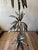 1970s 1970s Brutalist Metal Botanical Floor Sculpture in Fesco Planter Jansen Style For Sale - Image 5 of 8