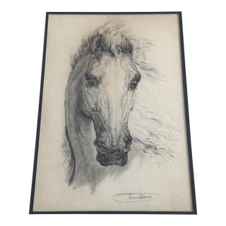 19th Century Realist Horse Drawing by Sebastiaan Theodorus Voorn Boer For Sale