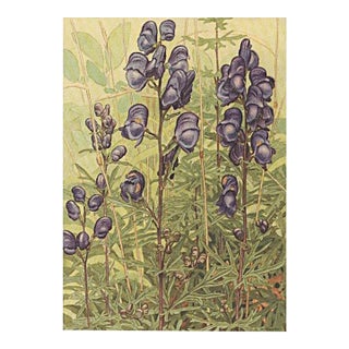 1945 Botanical Watercolor Lithograph-Monkshood For Sale
