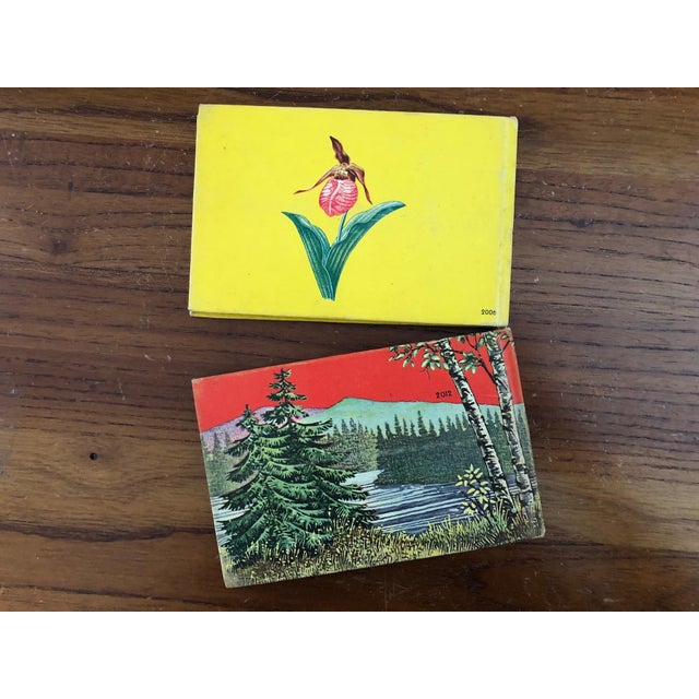 Vintage Tree and Wild Flower Nature Guide Book Set of 2 For Sale - Image 4 of 16