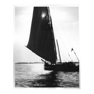 1964 Nile River Felucca Egyptian Photograph