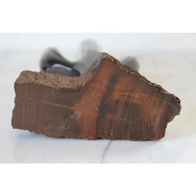 Vintage Hand Carved Ironwood Cactus Sculpture For Sale - Image 10 of 10
