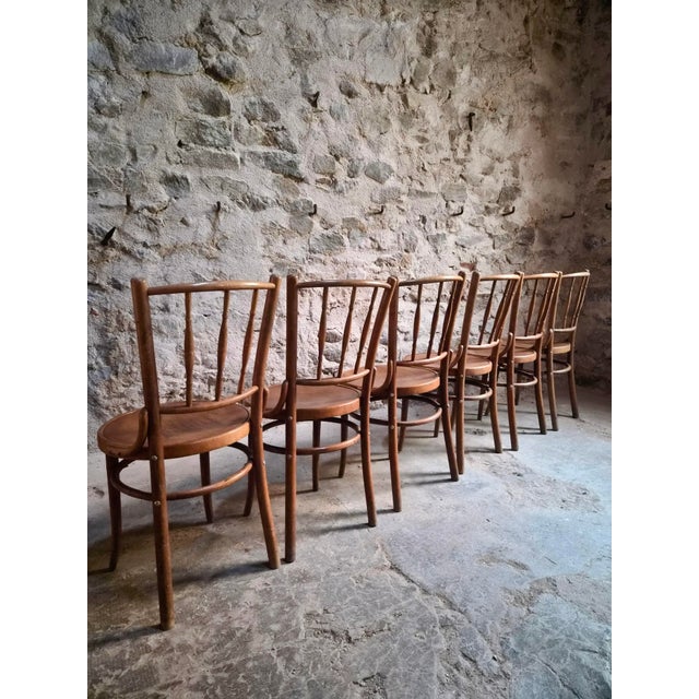 Bentwood Bistro Chairs from Fischel, Former Czechoslovakia, 1930s, Set of 6 For Sale - Image 10 of 18