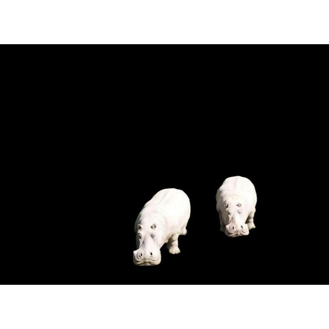 Large Terracotta Hippopotamus, 1950s For Sale - Image 4 of 6