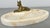 Cream Antique French Marble and Brass Dog Display Tray For Sale - Image 8 of 14