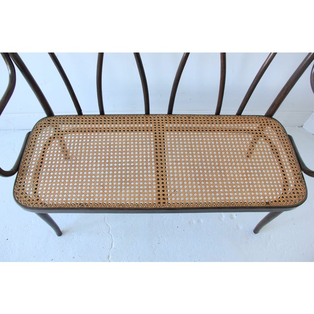 Vintage Bentwood & Cane Bench Chairish