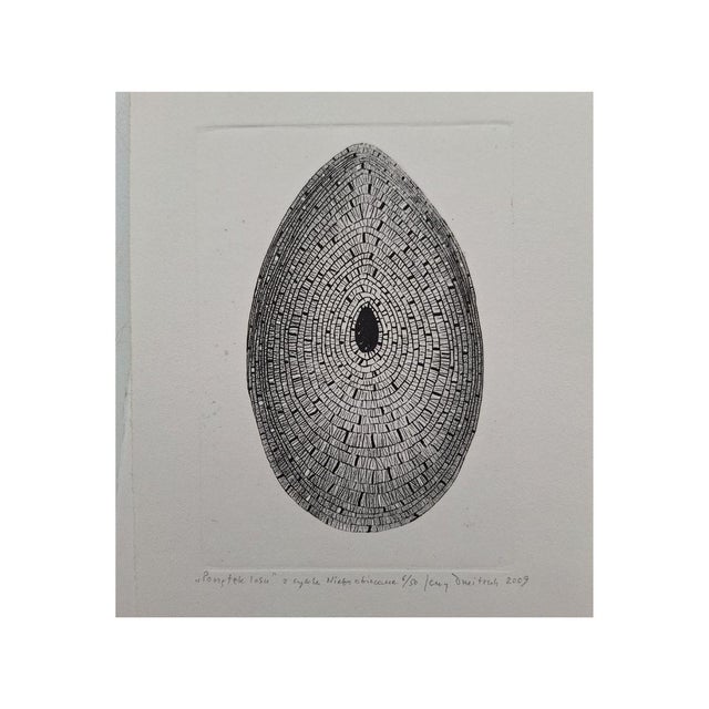 Jerzy Dmitruk is a Polish artist born in 1960. He studied at the Academy of Fine art of Krakow, were he obtained a degree...