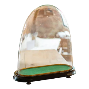 1850's Antique Ovoid Clock Dome