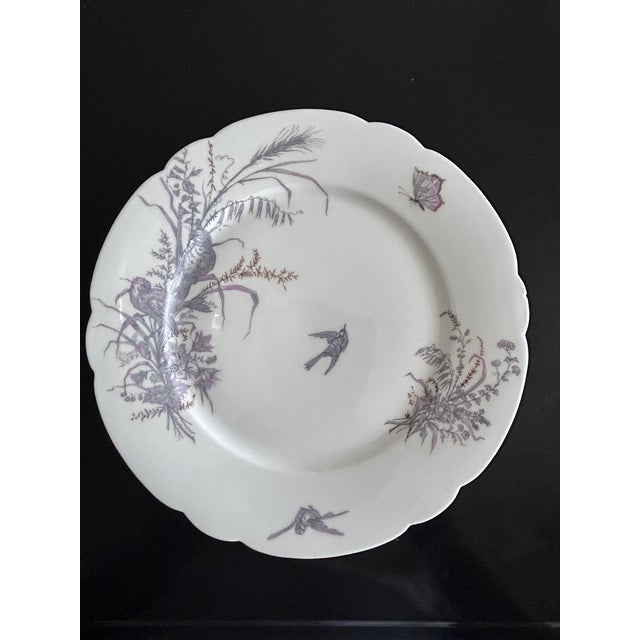 19th Century Porcelain Plates and Platter by Ch Pillivuyt & Cie, 1890s, Set of 8 For Sale - Image 5 of 17