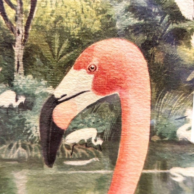 Mid-Century Modern MCM Pink Flamingo Lithograph Print Signed Arthur in Mirror Frame by Turner For Sale - Image 3 of 9