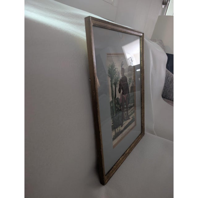 Baroque Antique 18thC Jeremias Wolff Hand-Colored Etching Peruvianus For Sale - Image 3 of 5