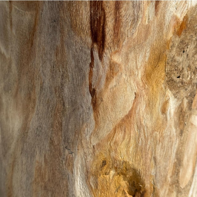 Multicoloured Petrified Wood Side Table For Sale - Image 11 of 16