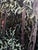 Contemporary The Forest Never Sleeps by Deb Komitor | Oil on cradled board Night scene in a dense forest with moonlight. For Sale - Image 3 of 5