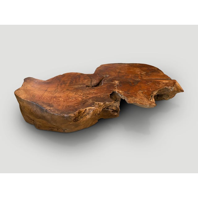 Andrianna Shamaris Sculptural Teak Wood Coffee Table For Sale - Image 4 of 18