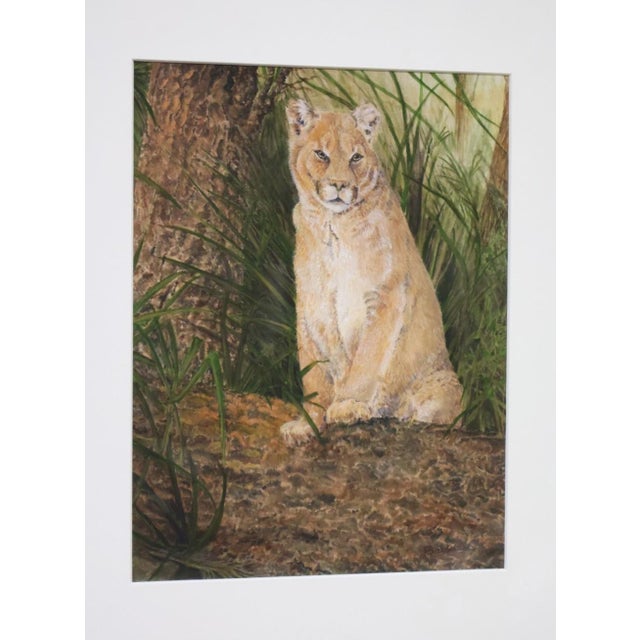 Original mixed media wildlife painting of a cougar by American animal artist and designer Pamela Baldwin, rendered in...