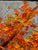2020s White Birch of Autumn For Sale - Image 5 of 6