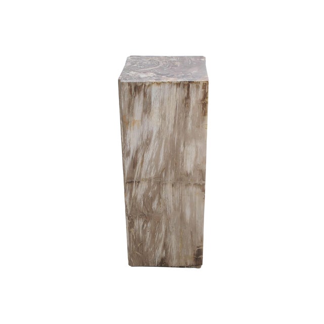 Petrified Wood Pedestal by Xyleia Petrified Wood For Sale - Image 6 of 6