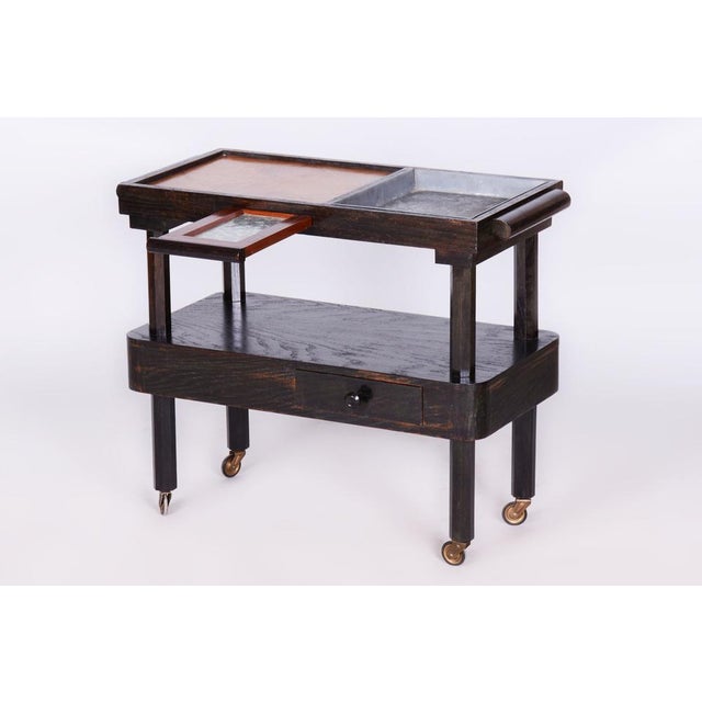 Czech Cubist Trolley in Oak and Mahogany, 1910s For Sale - Image 14 of 14