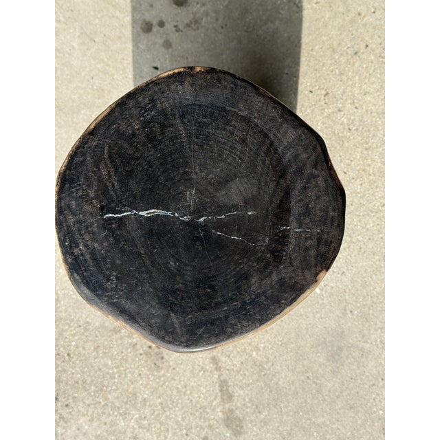 Petrified Wood Side Table with Black Heart For Sale - Image 5 of 18
