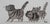 Laszlo Tibay, Maman chat et sa jolie fratrie, Ink & Wash Drawing For Sale - Image 7 of 7