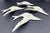 Mackenzie Childs MacKenzie Childs Sterling Check Gray Swallowtail Bird Wall Decor Resin Set of 4 For Sale - Image 4 of 9
