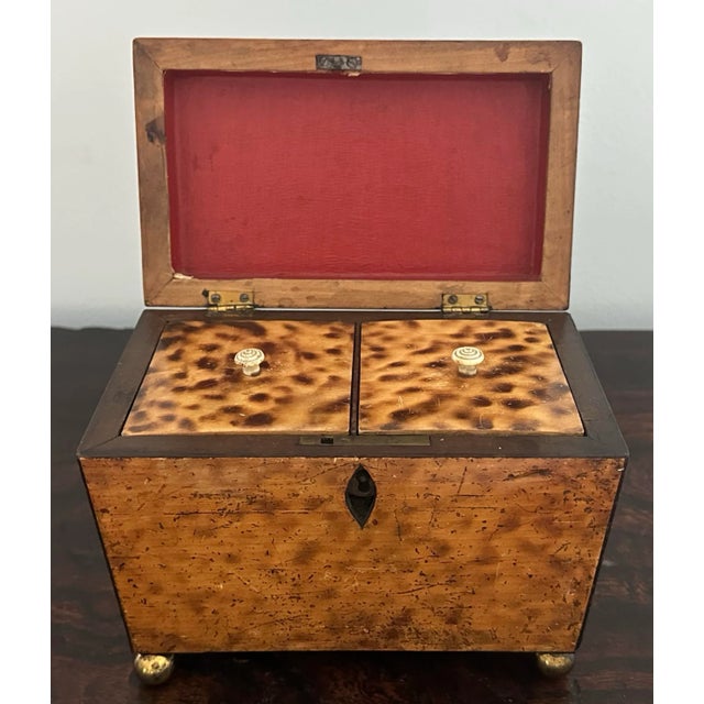 Elegant Early 19th Century, Regency Period, Burr Yew Wood Tea Caddy, Sarcophagus (Coffin) Form , Hinged Top Enclosing...