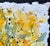 Mustard Original Watercolor Painting of “Daffodils in a Blue Vase” on Handmade Cotton Paper For Sale - Image 8 of 8