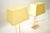 Mid-Century Modern Vintage French Acrylic Glass and Brass Table Lamps, 1970, Set of 2 For Sale - Image 3 of 10