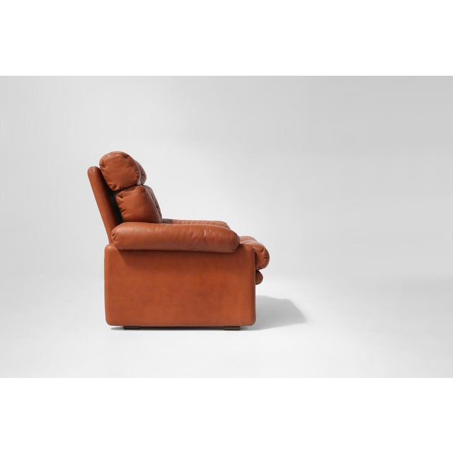 Animal Skin Coronado Lounge Chair in Brown Leather by Tobia Scarpa for B&B Italia, Italy, 1960s For Sale - Image 7 of 17