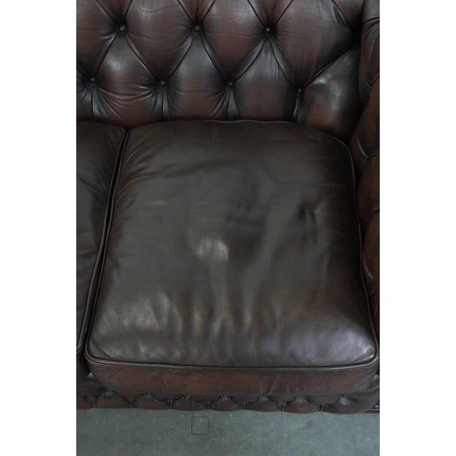 Vintage Chesterfield Two-Seater Sofa in Dark Brown Cowhide For Sale - Image 6 of 18