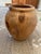Rustic Turned Teak Root Dry Vase Rounded Urn For Sale - Image 3 of 11
