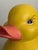 1990s Pop Art Yellow Bath Duck Statue, 1990 For Sale - Image 5 of 10