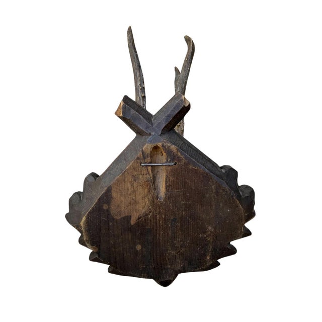 1900 - 1909 Roe Deer Trophy 173 Black Forest Antlers Mount For Sale - Image 5 of 5