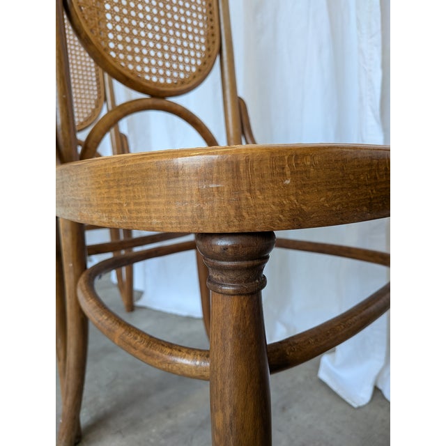 Vintage Bentwood Cane Dining Chairs, 1970s, Set of 6 For Sale - Image 14 of 18