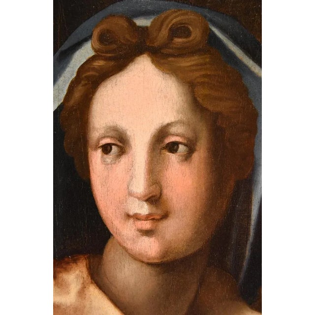 Baroque Workshop of Andrea del Sarto / Andrea d'Agnolo di Francesco, Madonna and Child, 1530, Oil on Board For Sale - Image 3 of 18