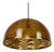 Mid-Century Resin Fern Pendant Lamp, Italy, 1970s For Sale