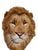 Anne Andersson, Lions Head Big Game Trophy Natural Sisal Fiber Sculpture Lion Anne Andersson Art, 2009 For Sale