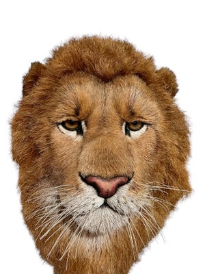 Anne Andersson, Lions Head Big Game Trophy Natural Sisal Fiber Sculpture Lion Anne Andersson Art, 2009