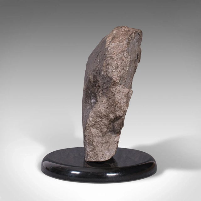 Early 20th Century 1910s Large Antique English Decorative Ammonite For Sale - Image 5 of 13