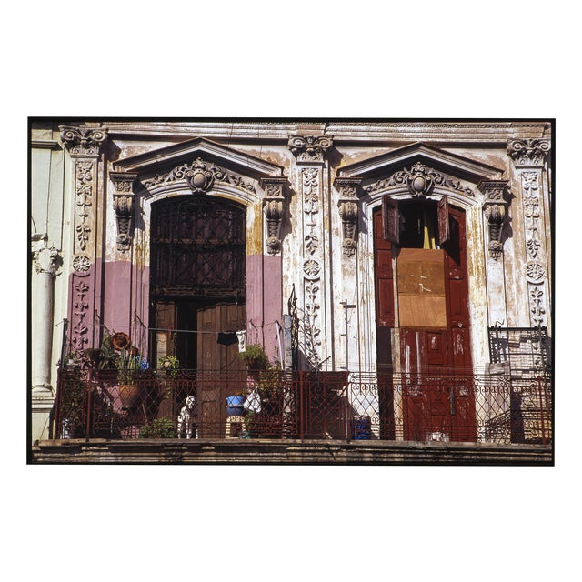 Paul Cooklin, Dog on Balcony, Edition of 50 For Sale