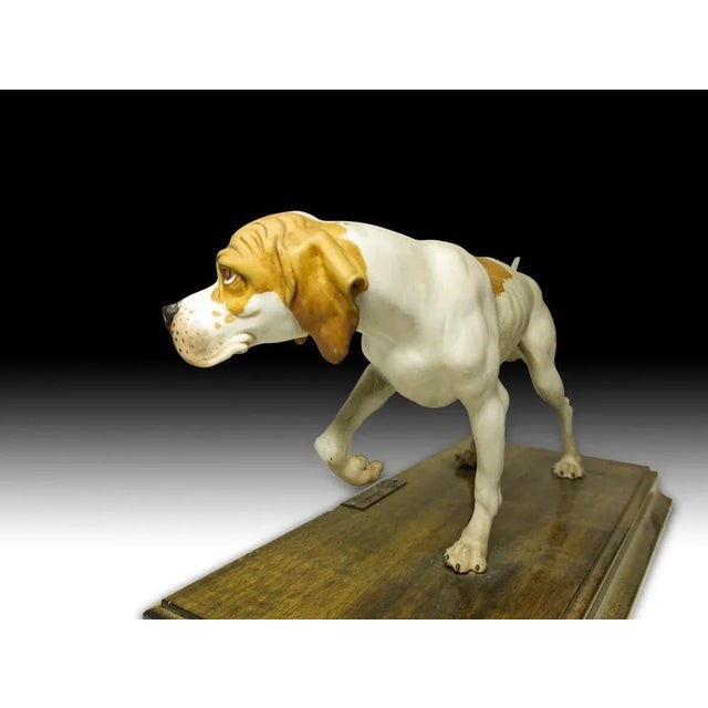 Porcelain Pointer, Early 20th Century For Sale - Image 10 of 13