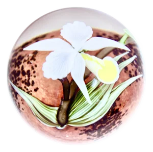 Orient & Flume White Orchid Blown Art Glass Sphere Paperweight