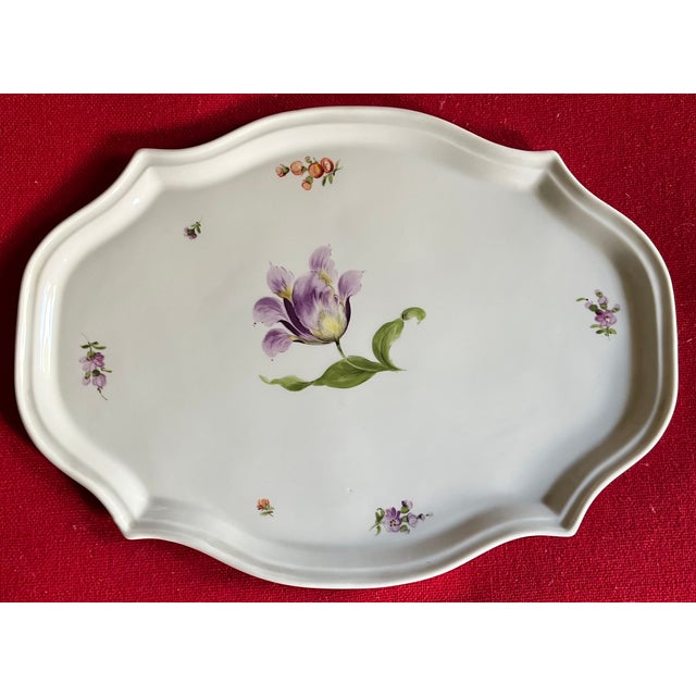 Rococo Antique 19th Century Nymphenburg Porcelain Tray or Platter Decorated With Parrot Tulip and Sprig Flowers For Sale - Image 3 of 7