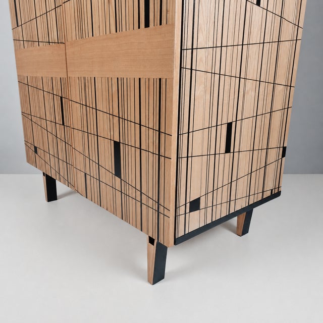 1970s Vintage Wardrobe by Francisek Mezulanik, 1970s For Sale - Image 5 of 14