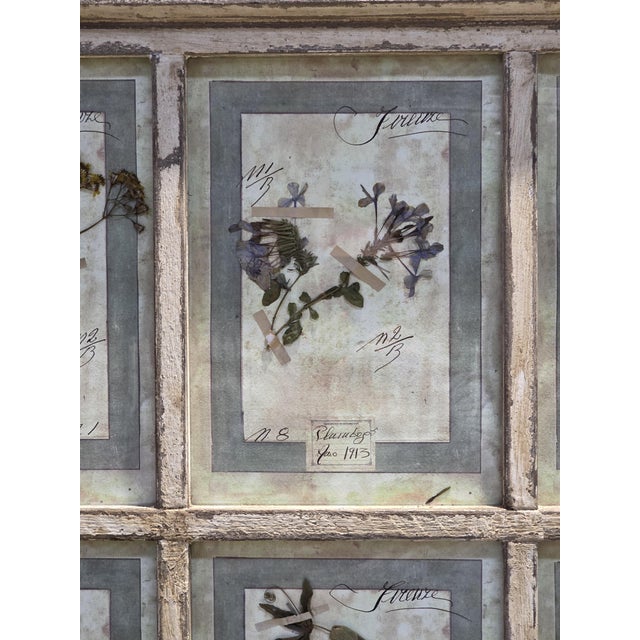 1920s Decorative Panel with Framed Botanical Composition, 1920s For Sale - Image 5 of 14