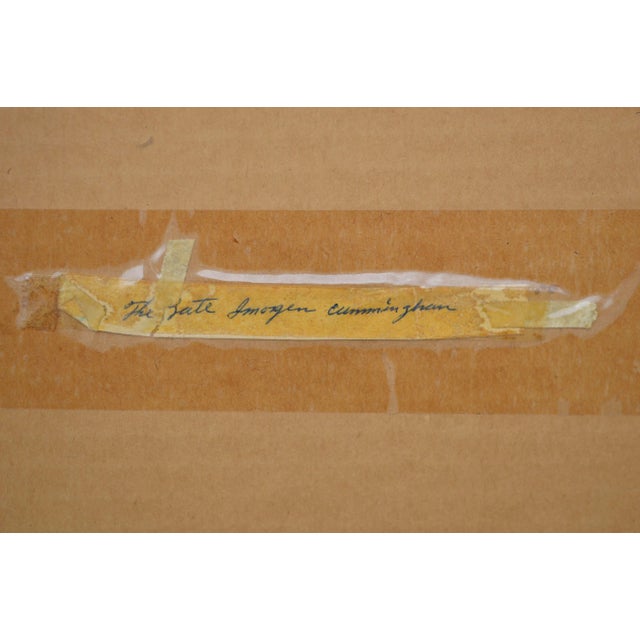 1970s Portrait of Photographer Imogen Cunningham - Black & White Photograph by Robert Werling For Sale - Image 5 of 5