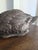 Elegant and finely detailed bronze sculpture of a seated duck. Circa 1920's. Unsigned. Heavy. Works beautifully in a...
