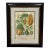 Trowbridge Framed Tropical Botanical Fruit Print – Papaya, Breadfruit & Avocado For Sale