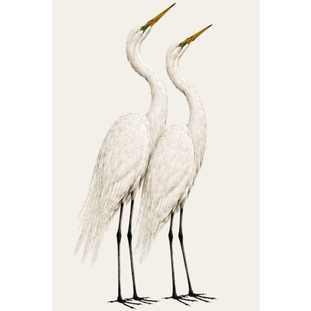 This elegant diptych features two complementary crane studies rendered in a refined natural history style. One composition...